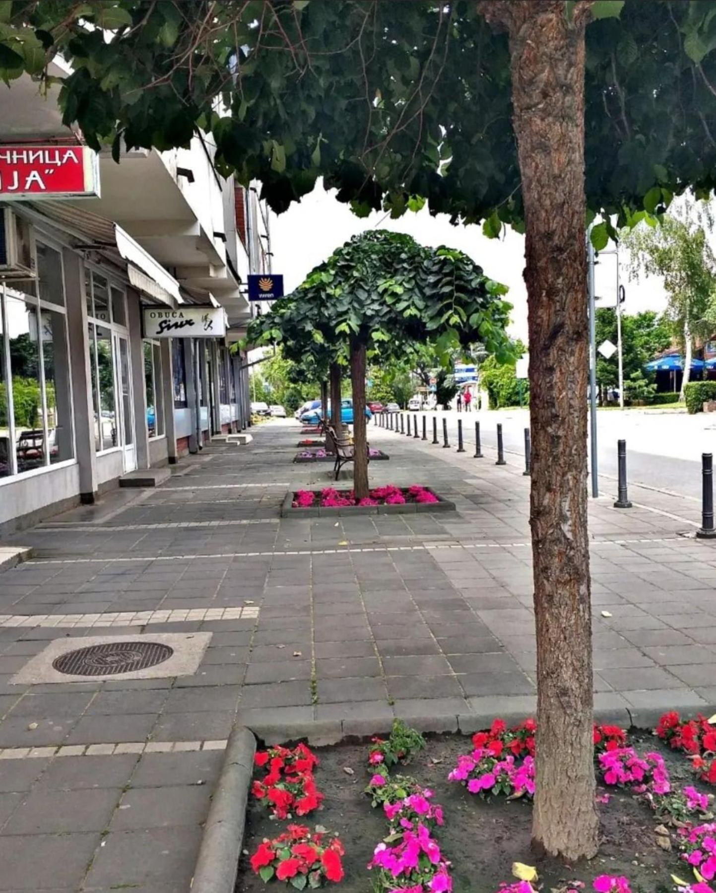 Apartmani Koki Κλάντοβο Εξωτερικό φωτογραφία